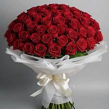 Букет 101 Красная роза Блэк Мэджик в Сергеевке