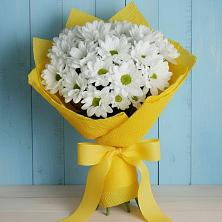 Букет цветов из:  Хризантемы в Сергеевке