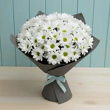 Букет цветов из:  Хризантемы в Сергеевке
