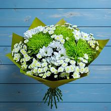 Букет цветов из:  Хризантемы в Сергеевке