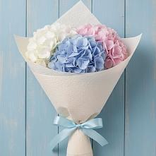 Букет цветов из:  Гортензия в Сергеевке