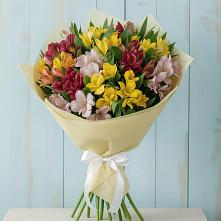 Букет цветов из:  Альстромерии в Сергеевке