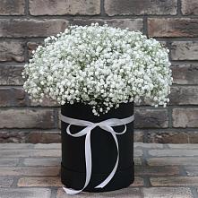Цветочная композиция из Гипсофила в шляпной коробке #REPLACE_PRED# Сергеевке