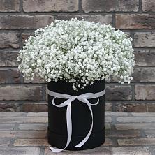 Цветочная композиция из Гипсофила в шляпной коробке в Сергеевке