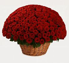 Премиум букет из: Розы в Сергеевке