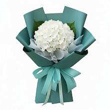 Букет цветов из:  Гортензия #REPLACE_PRED# Сергеевке